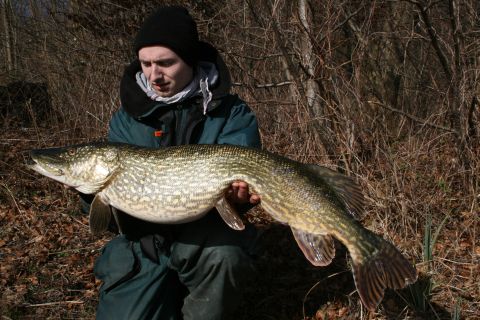 Flot marts fisk p 8,85 kg til undertegnet