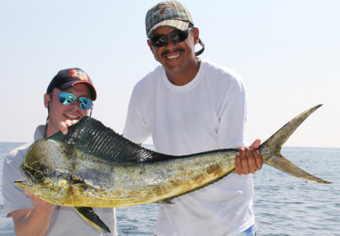 Mikkel 5 kg Mahi Mahi