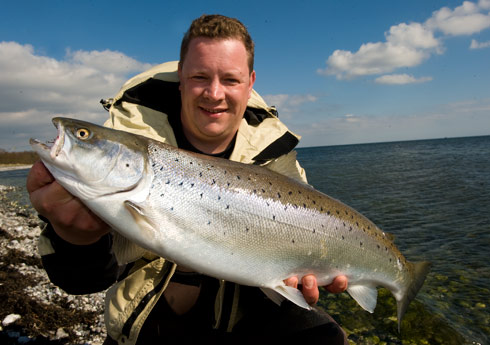 Michael Boysen - Havrred 3,25 kg 61 cm