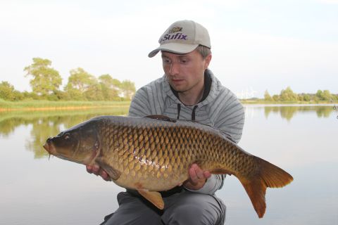 8 kg fedbasse