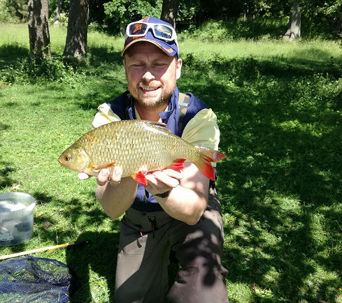 Mikkel med rudskalle p 1 kg.