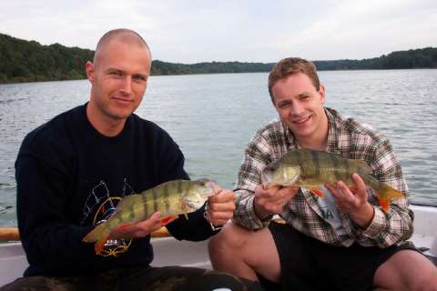 Schwalm og Boysen med 2 fine aborrer