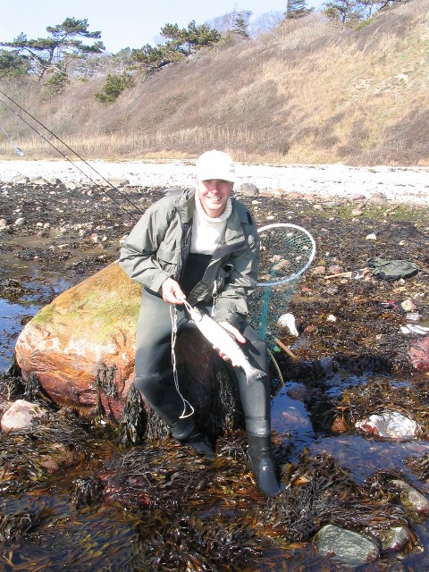 Flemming Foged med 43 cm havrred