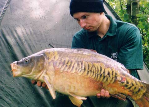 Jonas Hansen med 8.0 kg spejlkarpe