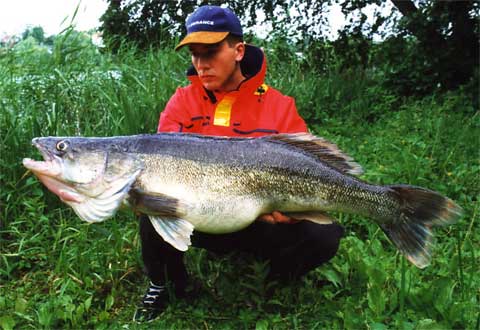 Lasse Sterll med 7.7 kg. sandart