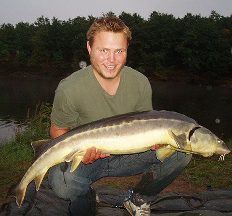 Christian Wind - Stør 13.5 kg Christian Wind - Stør 13.5 kg